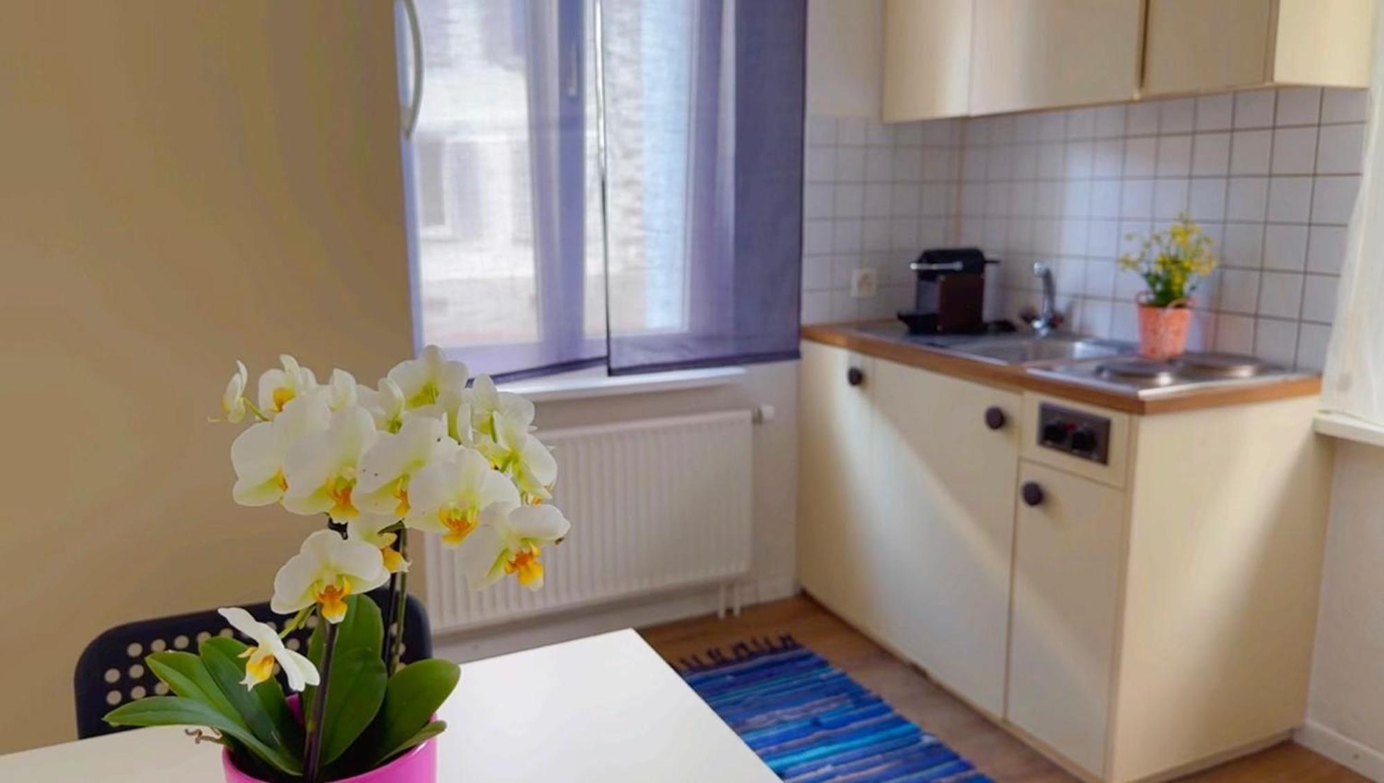 Grandhouse Center Of Switzerland Apartman Olten Kültér fotó