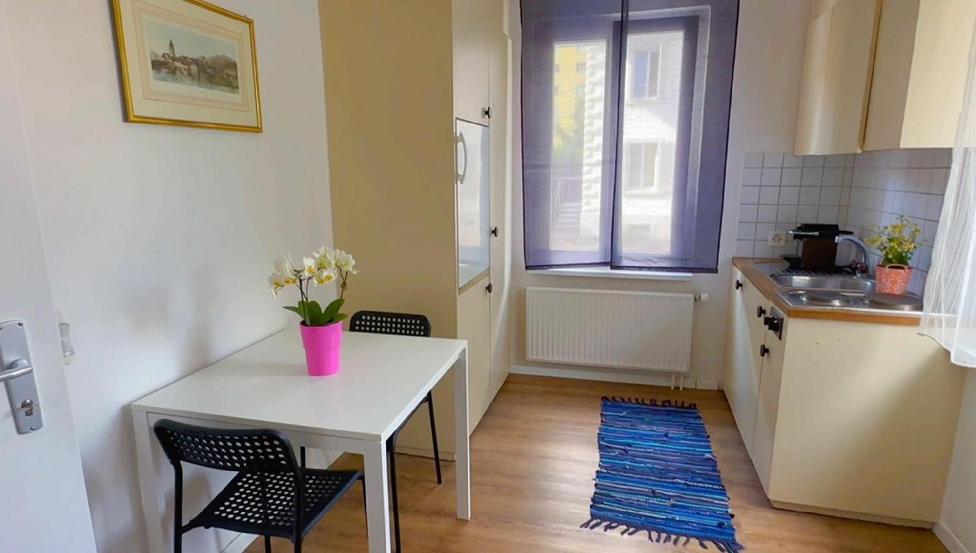 Grandhouse Center Of Switzerland Apartman Olten Kültér fotó